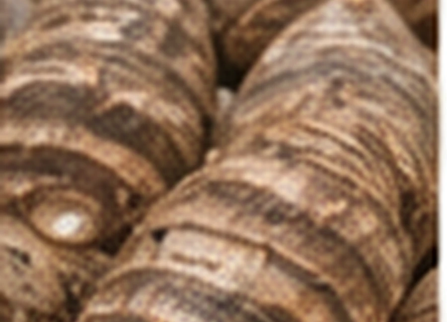 Cocoyam