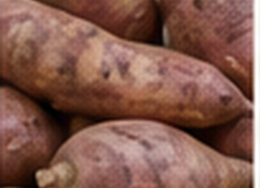 Sweet Potato